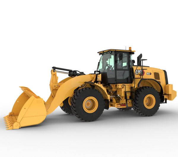962-cat-e1749547367620.jpg