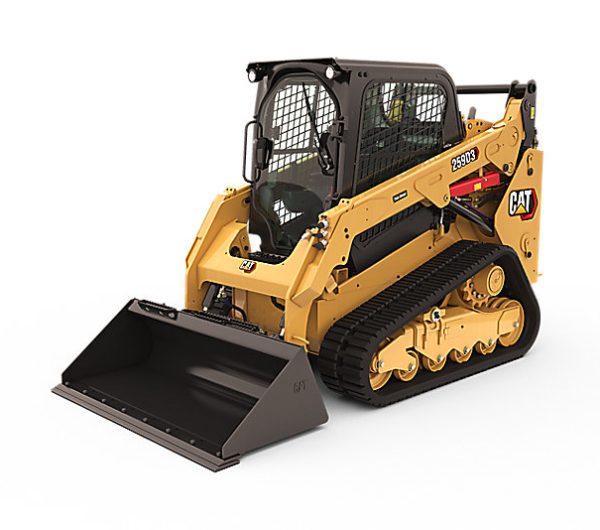 CAT-259D.jpeg