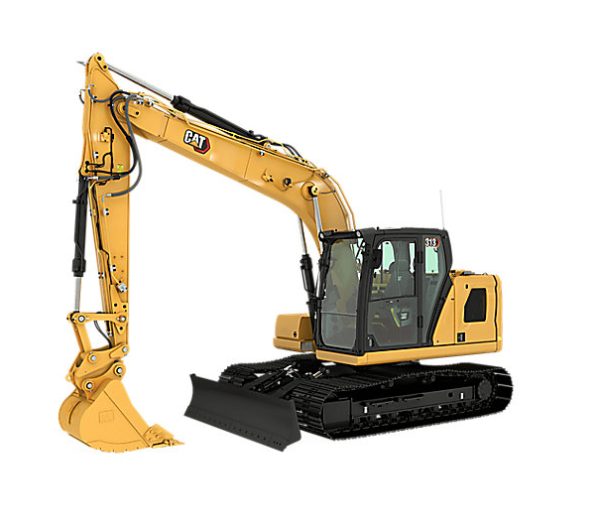 CAT-313.jpeg