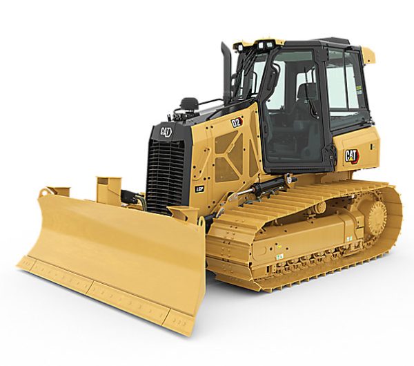D2-CAT.jpeg