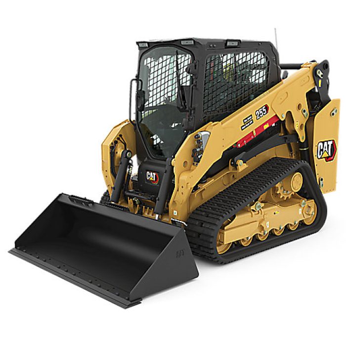 cat255-1.jpeg